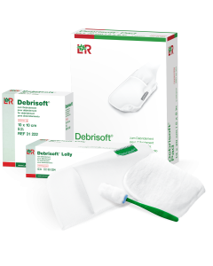 L & R Debrisoft